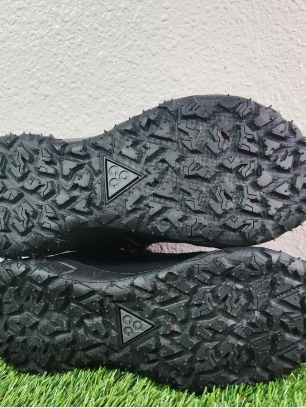 Nike acg mountain fly 2 low